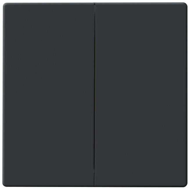 Busch-Jaeger 6736 FoH-81 Wippe, Busch-dynasty, Zigbee Friends of Hue, anthrazit (2CKA006730A0133)