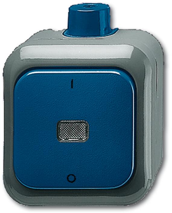 Busch-Jaeger 2601/2 WDI Wippschalter, 2-polig, Ausschalter, Busch Duro 2000, IP66 (2CKA001084A0821)