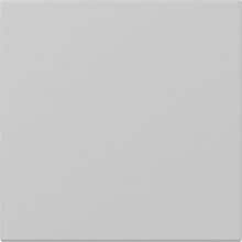 Gira 3496015 Wippe, Gerade stehende, 1fach, System 55, grau matt (lackiert)