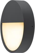 EVN LED Anbauleuchte, rund, IP65, 200-240V, 12W, 3000K, 4000K, 5700K, 880lm, 1100lm, 990lm, anthrazit (LH65121525)