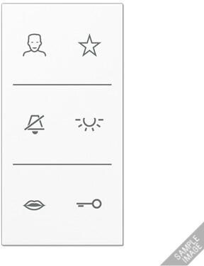 Jung SIV6ALDCAN Design-Cover Video, Serie LS, anthrazit (lackiert)