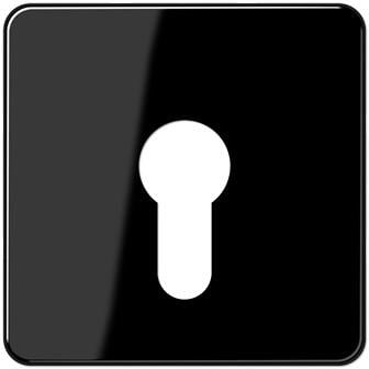 Jung CD525SW Abdeckung für Schlüsselschalter, schwarz