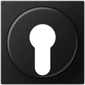 Jung A528PLSWM Abdeckung für Schlüsselschalter, Serie A, graphitschwarz matt