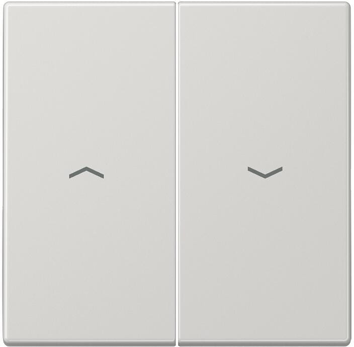 Jung LS995PLG Wippe mit Symbolen, lichtgrau