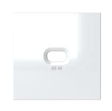 OPUS 55 Abdeckplatte für USB-C Steckdose 65 W