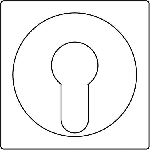 Jung A 528 PL AL Abdeckung für Schlüsselschalter, Aluminium