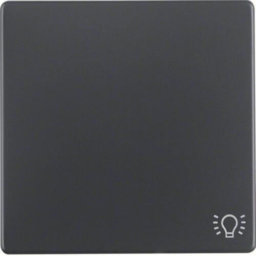 Berker 16206046 Wippe mit Aufdruck Symbol Licht, Q.1/Q.3, anthrazit samt, lackiert