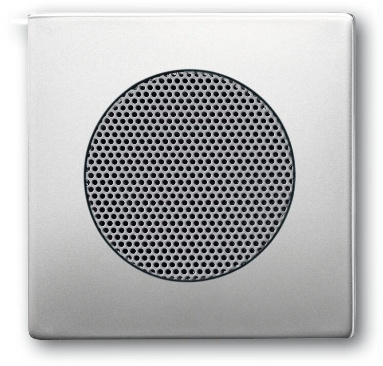 Busch-Jaeger 8253-866 Zentralscheibe, Edelstahl (2CKA008200A0087)