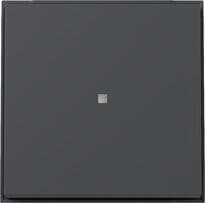 Gira 329067 Wippe mit Kontrollfenster, TX_44, anthrazit