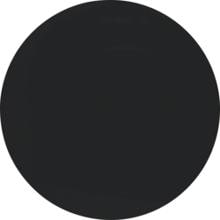 Berker 16202045 Wippe, R.1/R.3, schwarz glänzend