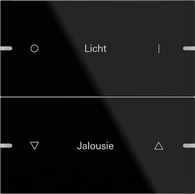 Gira 503205 Wippenset 2fach individuell für Tastsensor 4, Glas Schwarz