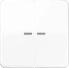 Jung HOME Taster 2fach, mit Lichtleiter, Duroplast, Serie CD, alpinweiß (BT CD 17102 WW)