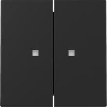 Gira Wippe mit Kontrollfenster, 2fach, System 55, schwarz matt lackiert (3631005)