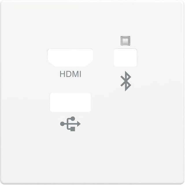 Busch-Jaeger 8256-84 Zentralscheibe Multimedia Connector, future linear,,Plattform 63, 3-fach, studioweiß glänzend (2CKA008200A0224)