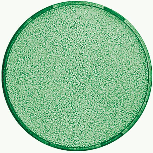 Busch-Jaeger 1565-13 Haube Haube für Lichtsignal, Busch Impuls, Grün (2CKA001565A0183)