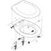GROHE Bau Keramik WC-Sitz mit Deckel, alpinweiß (39492000)