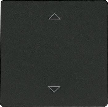 Eltako W-F2T55E-am+2P Wippe (30055969)