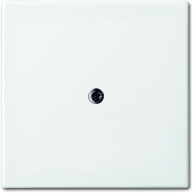 Busch-Jaeger 2536-914 Zentralscheibe, Busch-balance Si, alpinweiß (2CKA001724A4338)