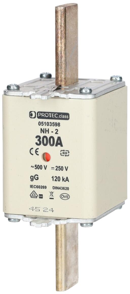 Protec.class PSI NH 2 TR Sicherung 300A (05103598)