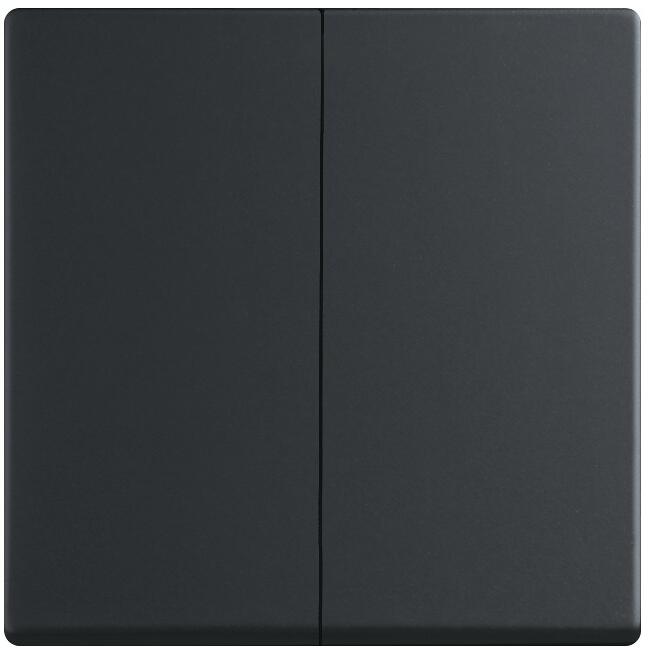 Busch-Jaeger 6736 FoH-885 Wippe, Busch-dynasty, Zigbee Friends of Hue, schwarz matt (2CKA006730A0141)