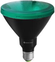 Beneito Faure PAR38 R-LINE Leuchtmittel, 15W 30° E27, grün