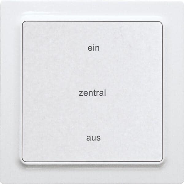 Eltako F2ZT55E-am Funktaster im E-Design55 batterie- und leitungslos (30055442)