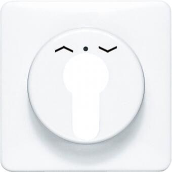 JUNG CD528WW Abdeckung für Schlüsselschalter, alpinweiß