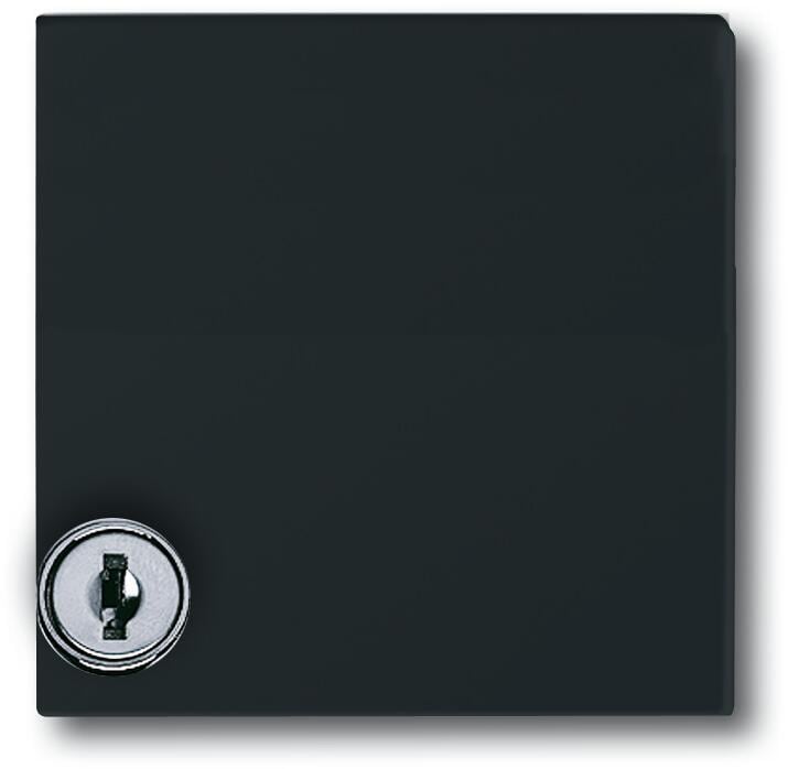 Busch-Jaeger 2118 GKSL-35 Zwischenring mit Klappdeckel abschließbar, verschieden schließend, Anthrazit, Allwetter 44 (2CKA001710A1977)