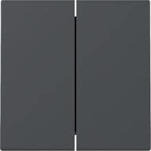 Gira 329528 Wippe, 2fach, System 55, Anthrazit (lackiert)