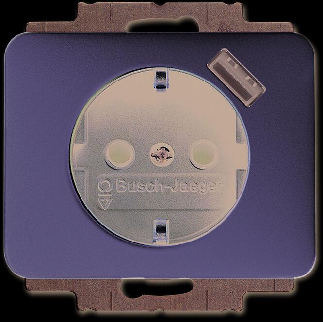 SCHUKO® USB-Steckdose Mit integriertem erhöhtem Berührungsschutz, Busch  alpha, Palladium, Busch-Jaeger 20 EUCBUSB-260 Elektroshop Wagner