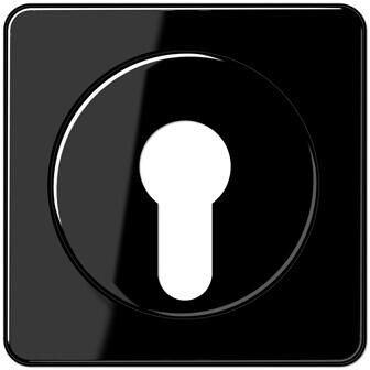 Jung CD528SW Abdeckung für Schlüsselschalter, schwarz