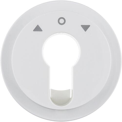 Berker 15062089 Zentralstück für Jalousie-Schlüsselschalter/-taster, R.1/R.3, polarweiß glänzend