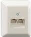 Rutenbeck UAE 8 (8) Ap rw - wall outlet - RJ-45 - buy at