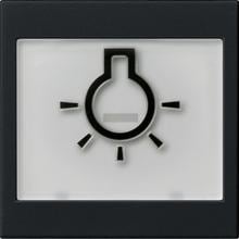 Gira 0216005 Wippe mit Beschriftungsfeld und abtastbaren Symbol "Licht", System 55, schwarz matt