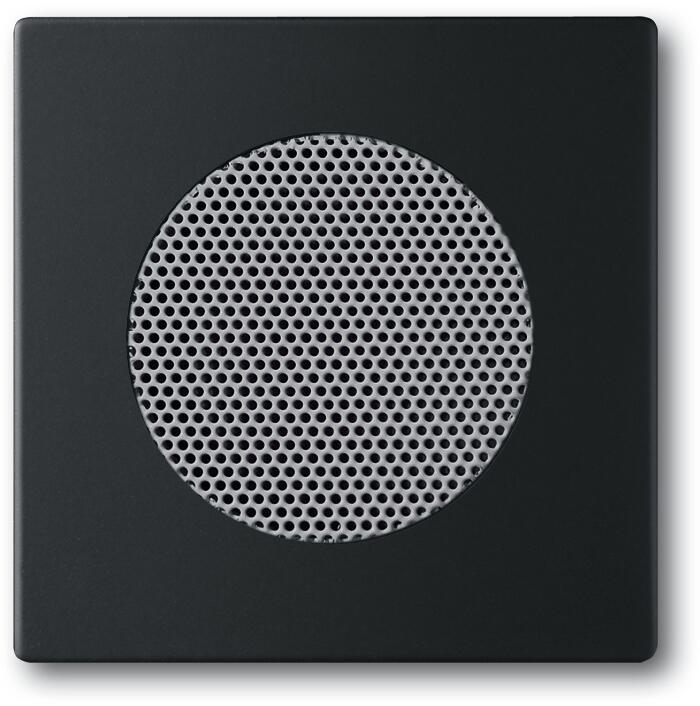 Busch-Jaeger 8253-885 Zentralscheibe, future linear, schwarz matt (2CKA008200A0115)