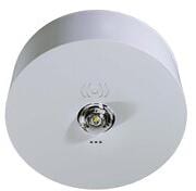 RP Group ILDK423SC Sicherheits-Leuchte Decke/Rund, EB+SC/3H, Lithium