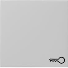 Gira 0287015 Wippe mit Symbol Tür, System 55, grau matt