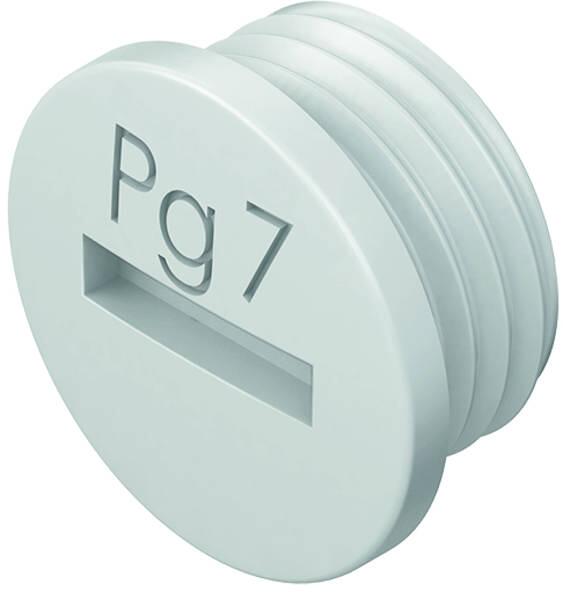 Kleinhuis 514/42 Verschlussschraube PG42, lichtgrau, 25 Stück