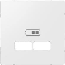 Elso ELG363204 Zentralplatte für USB Ladestation-Einsatz, Joy, reinweiß