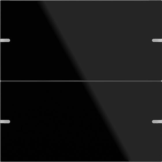 Gira 502205 Wippenset 2fach für Tastsensor 4, Glas schwarz