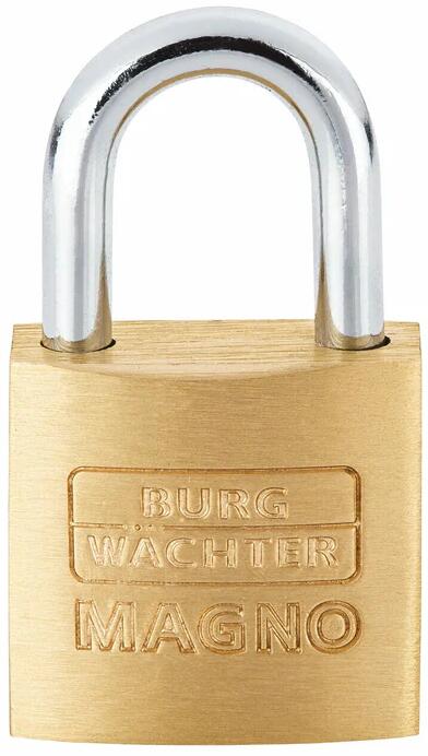 Burg Wächter 400 E 25 SB Zylinder-Vorhängeschloss Magno, Messing (06121)