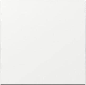 Gira 329603 Wippe, gerade, 1fach, System 55, reinweiß glänzend (lackiert)