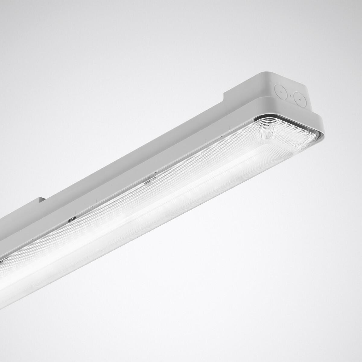 Trilux LED-Feuchtraumleuchte AragF 15 PN 80-840 ETDD+LLWC LV, lichtgrau (7399351)
