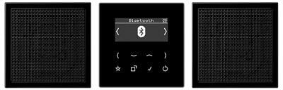 Jung DABLS2BTSW Smart Radio DAB+ mit Bluetooth - Set Stereo, 2 Lautsprecher, schwarz