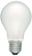 Scharnberger & Hasenbein Glühlampe B60x105 E27 24V 25W matt, 25W, 242lm (40710)
