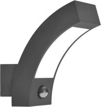 EVN LED-Außenleuchte mit Bewegungsmelder, IP54, 220-240V, 3000K, 5,5W, 310lm, anthrazit (WL54021502S)