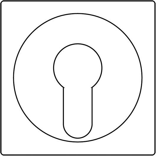 Abdeckung für Schlüsselschalter, Schwarz, Jung A528PLSW