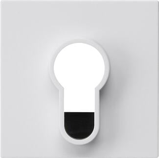 Gira 866403 Abdeckung für Schlüsselschalter und Schlüsseltaster unbedruckt, System 55, reinweiß glänzend