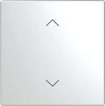 Busch-Jaeger LFAW/A.1.63.11-866 Wippe für Keypad, pur edelstahl, 1-fach, Symbol Auf/Ab, edelstahl (2CKA006199A0214)