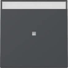 Gira 367028 Wippe mit Kontrollfenster und Beschriftungsfeld, 1fach, System 55, Anthrazit (lackiert)